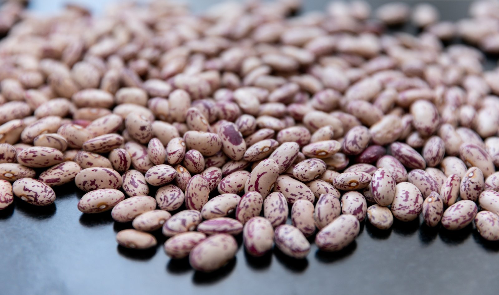 Sorting the season's bean harvest