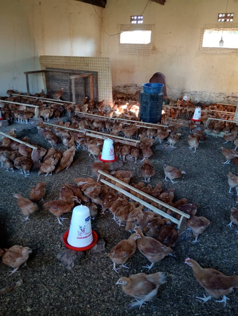 Inside the RMGM poultry house